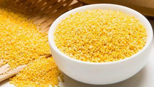 99丨嫩草丨精品 小米,探寻绿色健康生活新选择