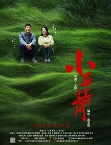 青青小草国产在线播放,国产在线播放的清新之作